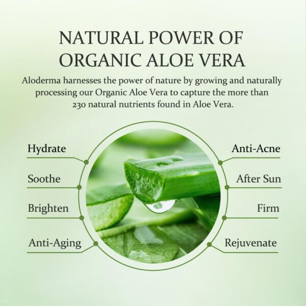 Soothing Aloe Vera Gel - Image 5