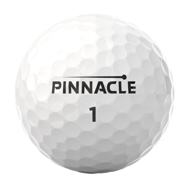 Pinnacle Soft - Image 3