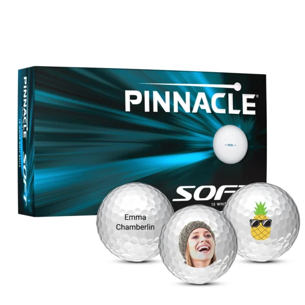 Pinnacle Soft - Image 2